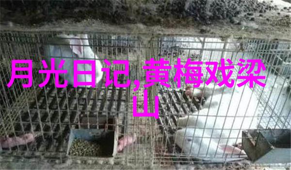 黄梅戏一代宗师严凤英
