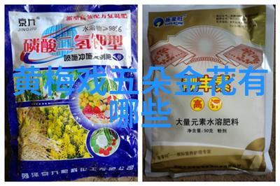 黄梅戏演员邬云介绍