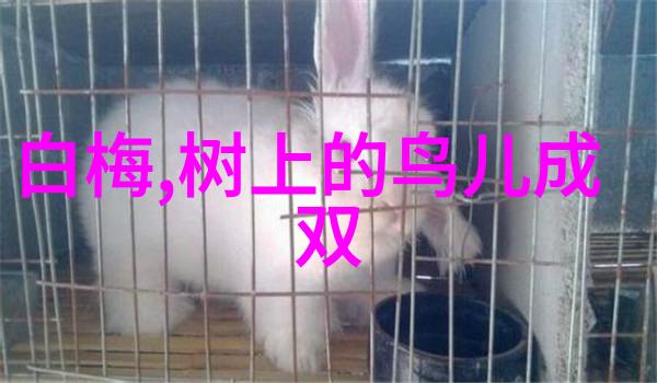 安徽省黄梅戏剧院二级演员戴莉莉