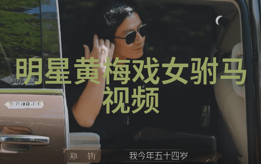 黄梅戏青铜之恋