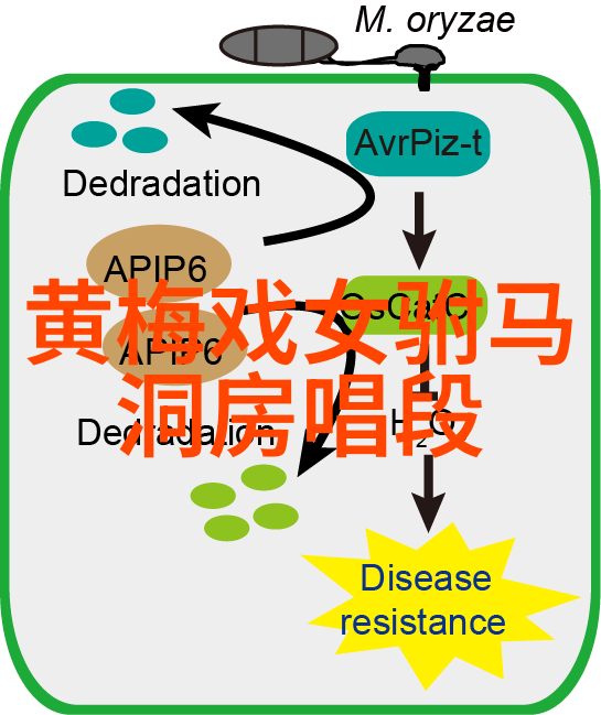 黄梅戏的起源