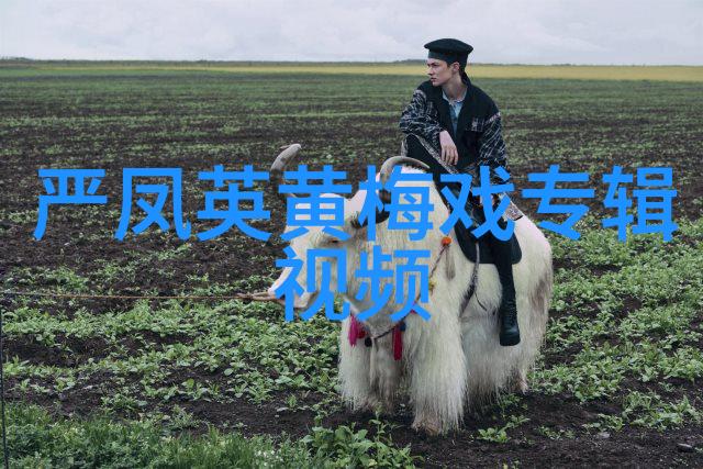 黄梅戏演员赵章伟介绍