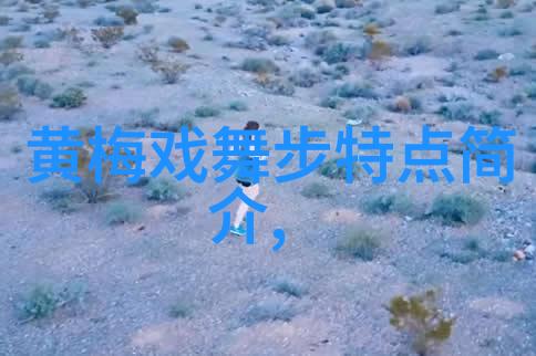 望江县第六届黄梅戏艺术节参演鸳鸯壶
