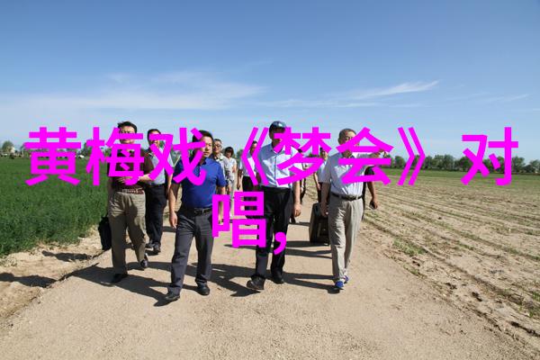 黄梅戏订婚照的风波