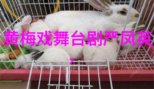 黄梅戏演员周源源介绍