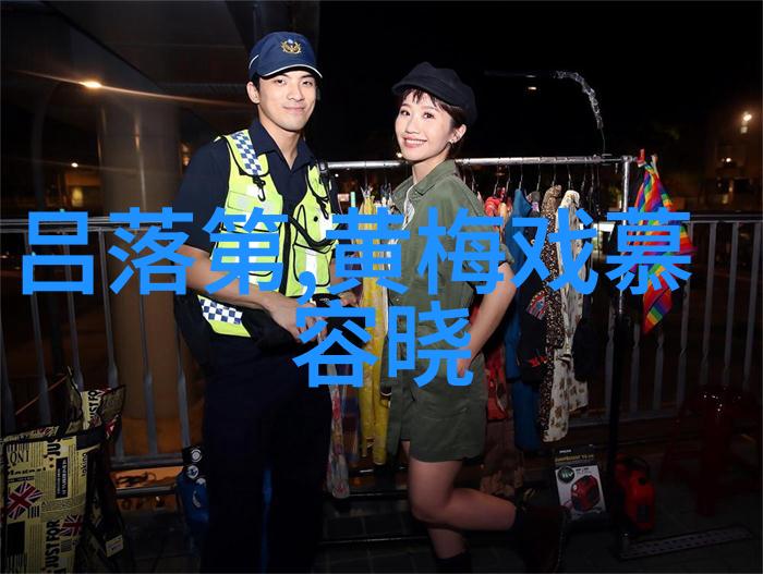 黄梅戏演员王梦君介绍