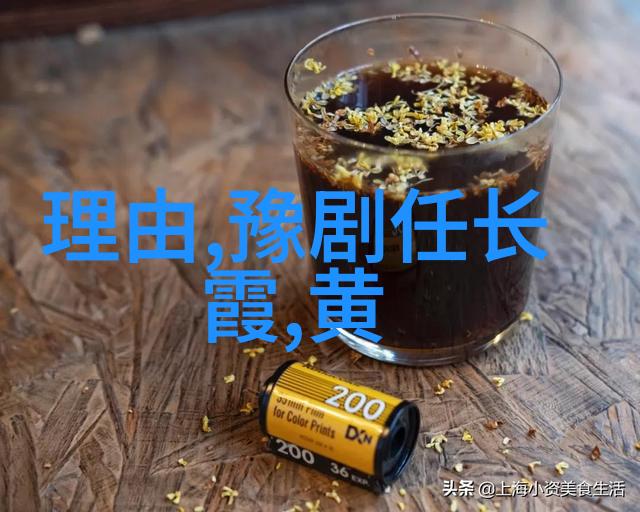 黄梅戏名家董家琳