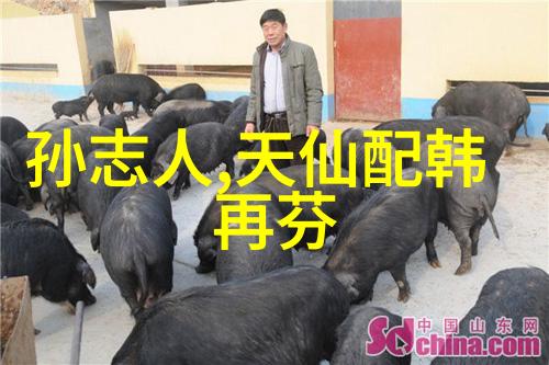 黄梅戏演员汪林林介绍