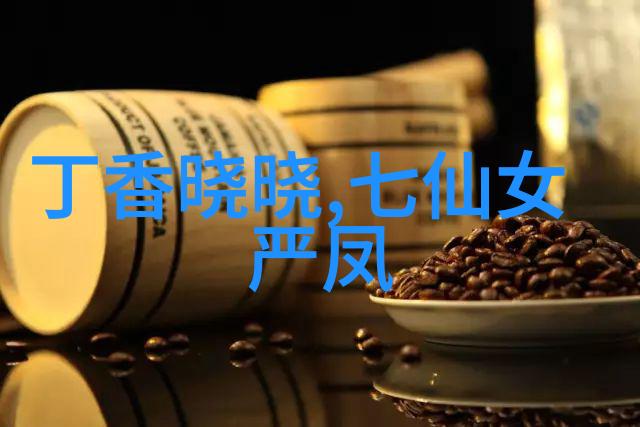 黄梅戏演员斯淑娴介绍