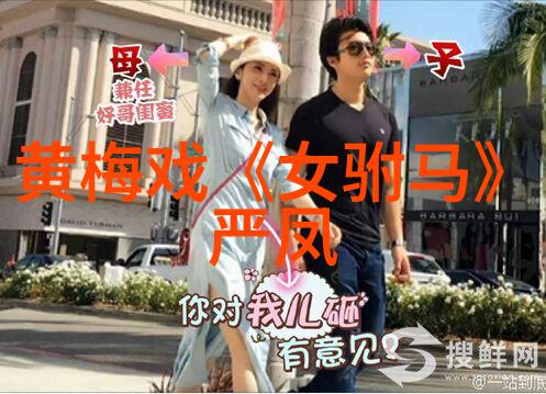 黄梅戏失刑斩
