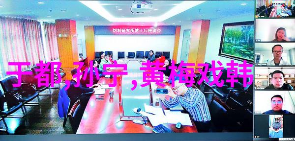 黄梅戏演员谢思琴介绍