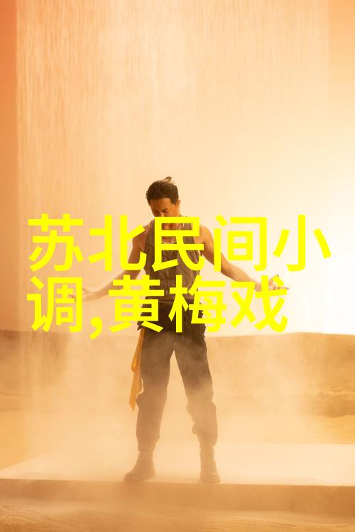 黄梅戏融南合北的品格特征展现