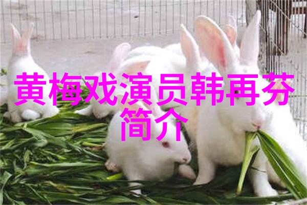 黄梅戏演员张银旺介绍