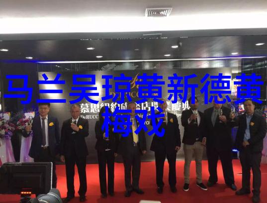 黄梅戏演员孙雪莲介绍
