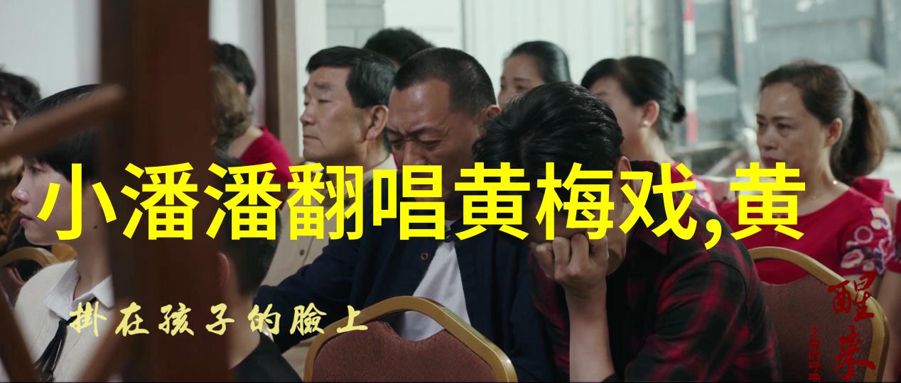 黄梅戏演员徐君介绍