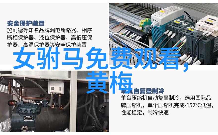 黄梅戏双莲记