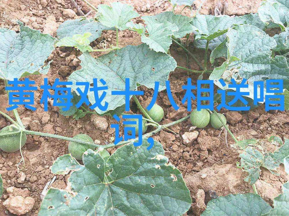 新创黄梅戏唐诗宋词在合肥演出