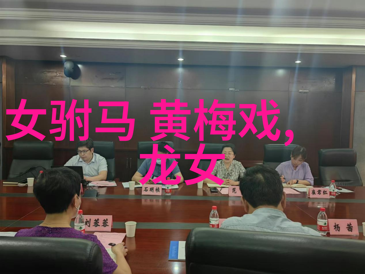 黄梅戏袖筒知县