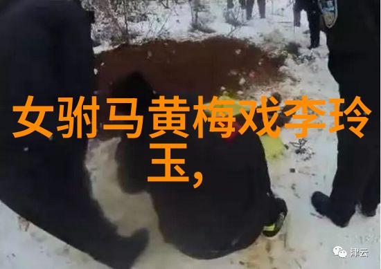 黄梅戏凤灵