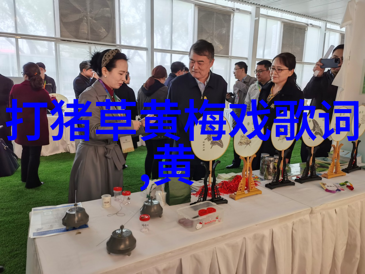 黄梅戏为奴隶的母亲