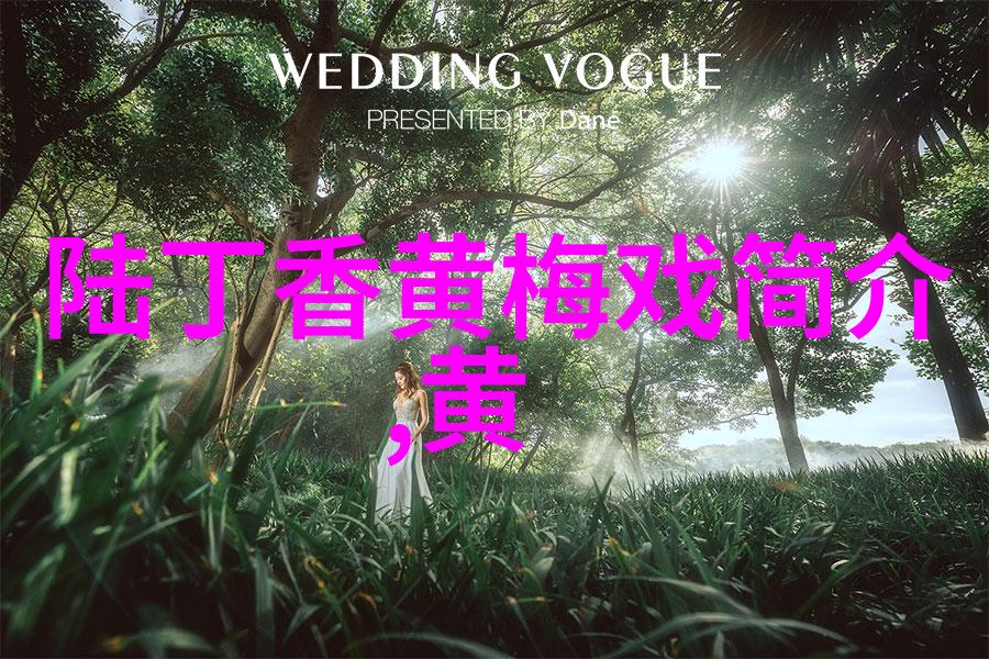 黄梅戏演员魏瑜遥介绍