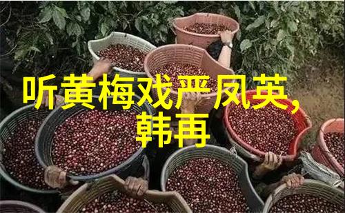 黄梅戏演员沈佳佳介绍
